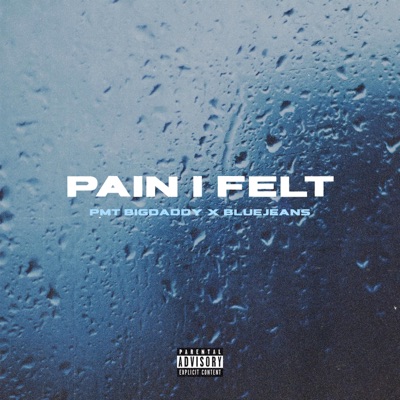 Pain I Felt (feat. Bluejeans) - Single