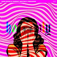 Holy Moly! (feat. Johnny Wayne & Fedarro) - Single - Sam Dope