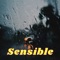 Sensible - Daniel C. Grey lyrics