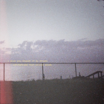 I Wish You Stayed In My Dreams (feat. Prince Woods) - Single