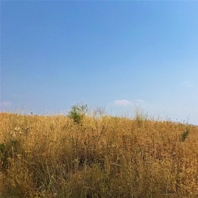 I'm Feeling Good Mentally - Single