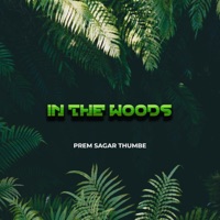 In the Woods - Single - PREM SAGAR THUMBE