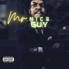 Mr. Nice Guy - Single