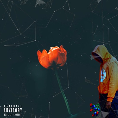 All on Me (feat. Shaba Stele) - Single