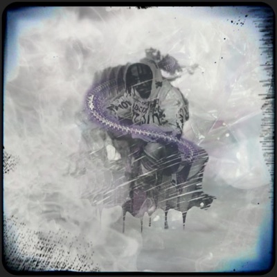 Steppa (Top Remix) - Single