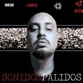 Sonidos Palidos artwork
