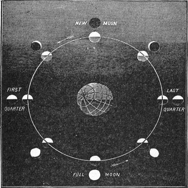 Phases