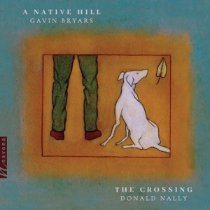 A Native Hill: No. 11, Shadow