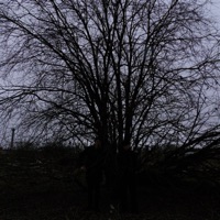 Онтогенез - Single - Замкнутый Мир