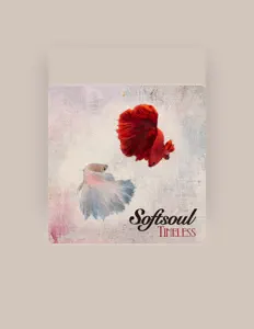 聆聽 Softsoul、觀看音樂影片、閱讀小傳、查看巡演日期等！