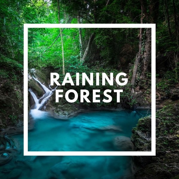 Raining Forest - Nature Sounds - Single