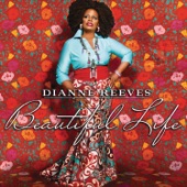 Dianne Reeves - Stormy Weather