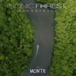Monte, Bomba Estéreo & Nidia Góngora - Sonic Forest (Déjame Respirar)