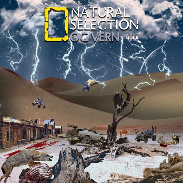 Natural Selection