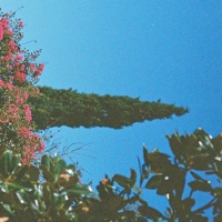 After Hours - Single - linanthem