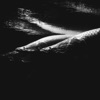 Merope (SVLBRD Ambient Mix) - Single