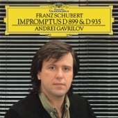 4 Impromptus, Op. 142, D.935: No. 3 in B-Flat: Theme (Andante) With Variations artwork