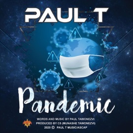 Pandemic Paul T