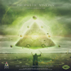Prophetic Visions - Dwayne Ford