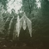 Shweet - Single