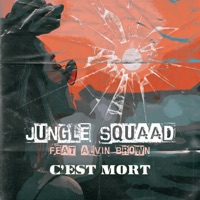 C'est mort (feat. Alvin Brown) - Single - Jungle Squaad