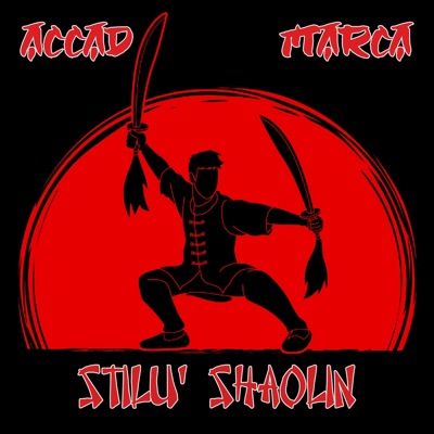 Stilu' Shaolin (feat. Marca) - Single