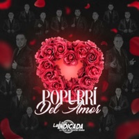 Popurrí Del Amor (En Vivo) - Single - Banda La Indicada La Mejor De Mazatlán Sinaloa