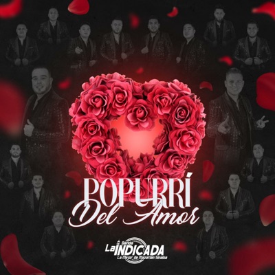 Popurrí Del Amor (En Vivo) - Single