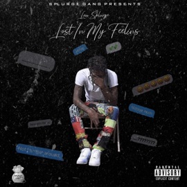 Sneaky Link Lan Splurge