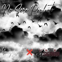 No Sere Perfecto (feat. Poder Asignado) - Single - Young Witty