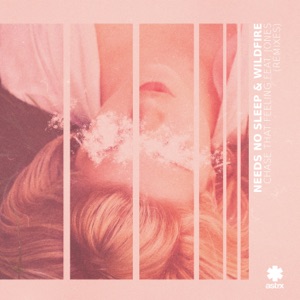 Chase That Feeling (Remixes) [feat. JONES] - Single