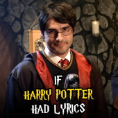 If Harry Potter Had Lyrics