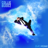 Collie Buddz - Like Yuh Miss Me