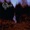 Opeth - 