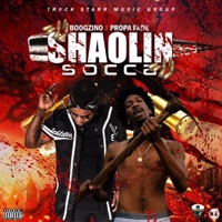 Shaolin Soccer (feat. Propa Fade) - Single - Boogzino