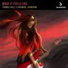 Thomas Gold, Flaremode & Krimsonn - What It Feels Like