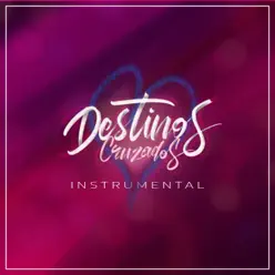 Destinos Cruzados (Instrumental) - Single - Aerstame