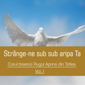 Strânge-ne sub aripa Ta, Vol. 1 - Corul bisericii Rugul Aprins din Toflea