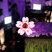 A Buhgs ##Lyf - Single - i9bonsai