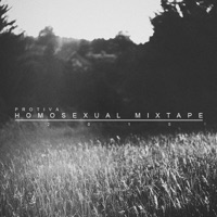 Homosexual mixtape - Protiva