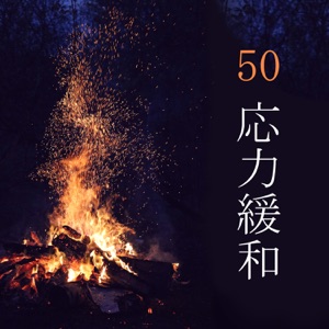 50応力緩和:鳥と風,森の中で焚き火,ストレスを軽減する自然な音