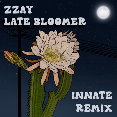 Late Bloomer (Remix) - Single