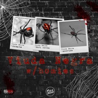 Viuda Negra with Homies (feat. Andrina & Enri Galván) - Single - Romale