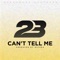 Can't Tell Me - 23 Unofficial lyrics