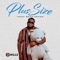 Mewa (feat. Mide Phresh) - BIG MILLZ lyrics