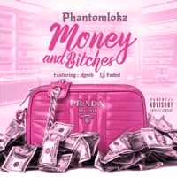 Money and Bitches (feat. Nevik & Lil Faded) - Single - Phantomlokz