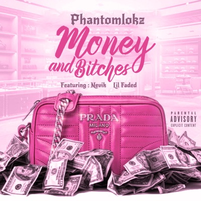 Money and Bitches (feat. Nevik & Lil Faded) - Single