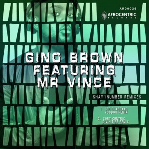 Shay'iNumber (feat. Mr Vince) [Remixes] - Single