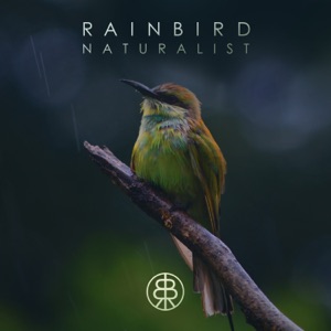 Naturalist - Single