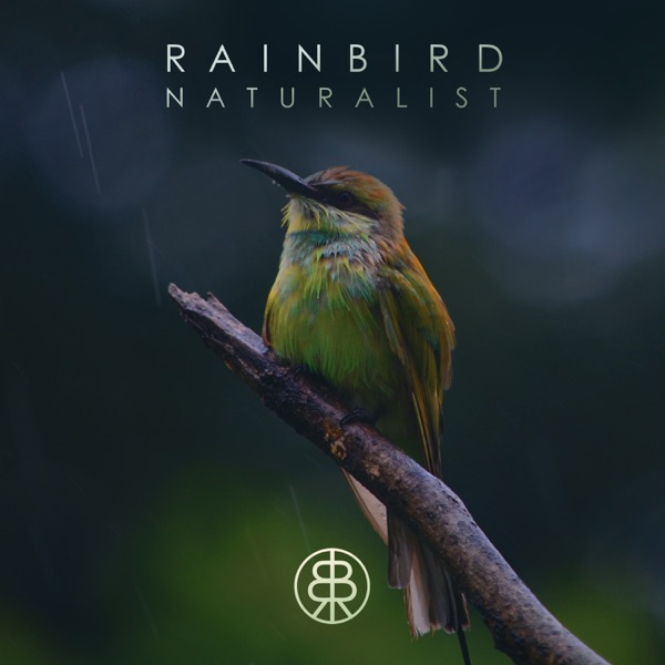 Naturalist - Single